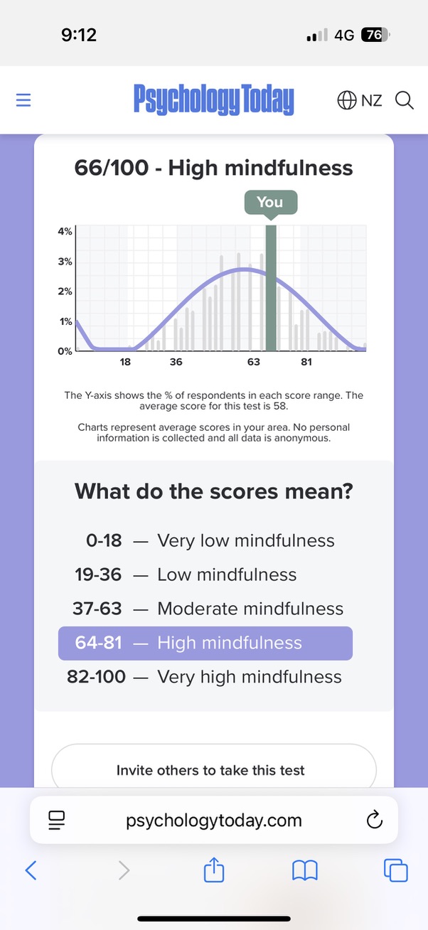 my mindfulness score